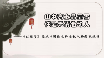 《红楼梦》之薛宝钗人物分析 课件23张+2022-2023学年统编版高中语文必修下册