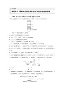 2024届高考一轮复习生物练习（新教材人教版鲁湘辽）第三单元　细胞的能量供应和利用　课时练5　捕获光能的色素和结构及光合作用的原理 Word版