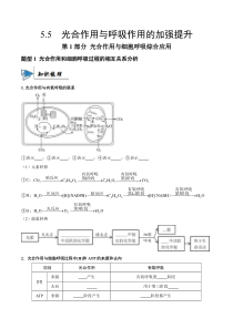 《【金典生物】2022-2023学年高一生物同步精讲系列（2019人教版必修1）》光合作用与呼吸作用的加强提升（学生版）