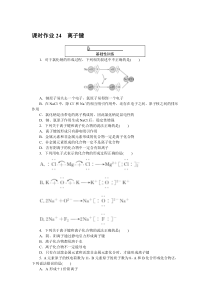 高中化学课时作业（人教版必修第一册）课时作业 24