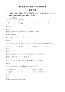 湖北省襄阳市第四中学2024-2025学年高一上学期11月期中考试数学试题 Word版含解析