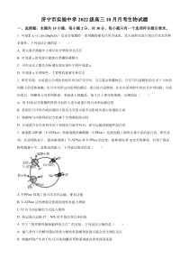 山东省济宁市实验中学2025届高三上学期10月月考生物试题