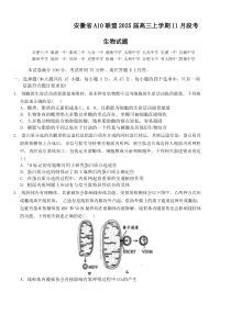 安徽省A10联盟2024~2025学年高三上学期11月月考生物试题