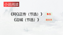 《阿Q正传》《边城》联读课件81张+2022-2023学年统编版高中语文选择性必修下册