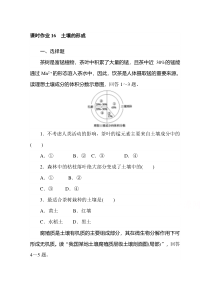 【精准解析】2020-2021学年高中地理新教材必修第一册（湘教版）课时作业+5.2+土壤的形成【高考】