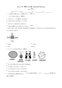 福建省泉州市德化二中2023-2024学年高一11月期中生物试题