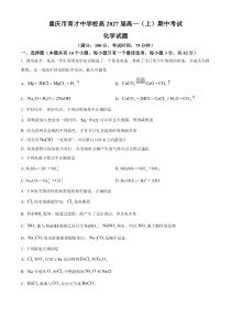 重庆市育才中学2024-2025学年高一上学期11月期中考试化学试卷 Word版