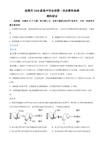 2023届四川省成都市高三上学期第一次诊断性考试理综生物试题  含解析