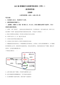 湖南省娄底市娄底市2024-2025学年高三上学期11月月考生物试题 Word版无答案