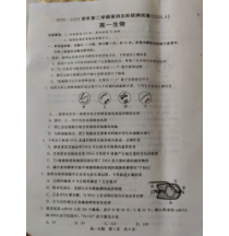 河北省张家口市尚义县第一中学2022-2023学年高一下学期6月月考生物试题  PDF版