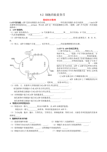 2023-2024学年高一生物人教版2019必修1同步精品试题  5.2细胞的能量货币  Word版无答案