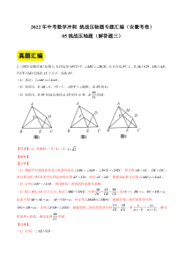 05挑战压轴题（解答题三）-2022年中考数学冲刺 挑战压轴题专题汇编（安徽卷）（解析版）