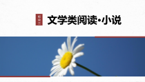 2024届高考一轮复习语文课件（宁陕蒙青川）板块三　文学类阅读 小说 11　分析故事情节——梳理文脉，扣住技巧