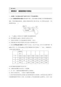 2024届高考一轮复习生物练习（新教材人教版鲁湘辽）第六单元　遗传的物质基础 课时练3　基因的概念与表达 Word版