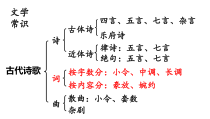 4.《望海潮》《扬州慢》比较阅读 课件42张PPT 统编版高中语文选择性必修下册