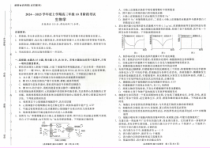 辽宁省点石联考2024-2025学年高三上学期10月月考生物试题 PDF版