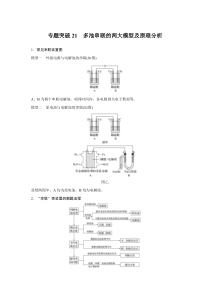 【精准解析】2021新高考化学鲁科版：第6章专题突破21多池串联的两大模型及原理分析【高考】