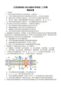 江苏省徐州市部分学校2024届高三上学期期初考试+生物+PDF版含解析