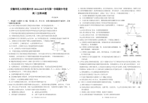 安徽师范大学附属中学2024-2025学年高二上学期期中考试 生物 PDF版含答案