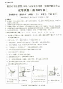 重庆市名校联盟2023-2024学年度高二上期期中联合考试化学试题