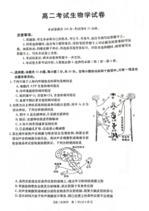 辽宁省部分学校2023-2024学年高二上学期10月月考生物试题+PDF版