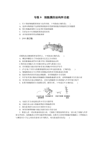 2024版《微专题·小练习》生物 新教材 专练9　细胞膜的结构和功能