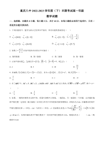 重庆市第八中学校2022-2023学年高一下学期期中数学试题 Word版含解析