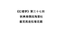 《红楼梦》第37回赏析课件35张PPT 统编版高中语文必修下册