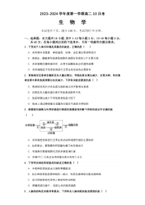 广东省湛江市第二十一中学2023-2024学年高二10月月考生物试题