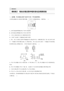 2024届高考一轮复习生物练习（新教材人教版鲁湘辽）第四单元　细胞的生命历程 课时练2　有丝分裂过程中相关变化及观察实验 Word版