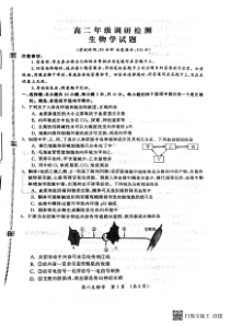 河南省开封市2023-2024学年高二上学期期中考试+生物+PDF版含答案