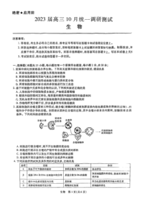 江西省稳派智慧上进2023届高三10月调研生物试题