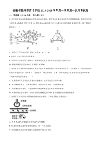 安徽省滁州市定远县育才学校2024-2025学年高二上学期第一次月考生物试题 Word版