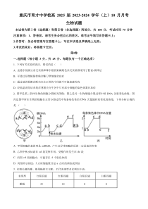 重庆市育才中学2023-2024学年高二10月月考生物试题  