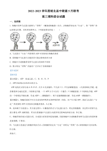 安徽皖北县中联盟2022-2023学年高三5月联考理综生物试题  含解析