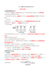 2023-2024学年高一生物人教版2019必修1同步精品试题  5-3细胞呼吸的原理和应用 Word版含解析