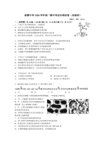 浙江省绍兴市诸暨中学2020-2021学年高一下学期4月期中考试生物试题（实验班）含答案