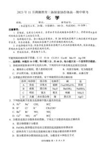 湖南省衡阳市湖湘教育三新探索协作体2023-2024学年高一上学期11月期中联考 化学