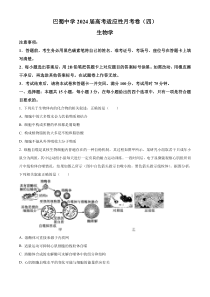 重庆市巴蜀中学2023-2024学年高三上学期适应性月考（四）生物试题（原卷版）