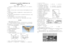 吉林省长春市朝阳区长春外国语学校2023-2024学年高二上学期9月月考地理试题+含答案