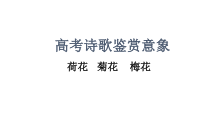 2023届高考诗歌鉴赏意象 荷花、菊花、梅花 课件56张PPT