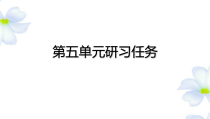 2022-2023学年高一语文 统编版必修下册 随堂课件 第五单元研习任务