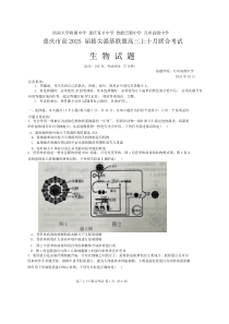 重庆市拔尖强基联盟2025届高三上学期10月联考生物试题 Word版含答案