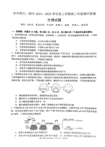 湖北省武汉市华中师范大学第一附属中学2023-2024学年高三上学期11月期中生物试卷扫描版