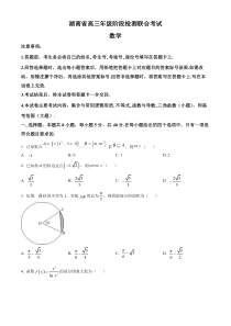 湖南省2025届高三上学期阶段检测联合考试数学试卷 Word版含解析