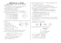 湖北省钢城第四中学2020-2021学年高一上学期期中考试生物试卷【武汉专题】