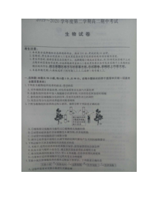 河北省枣强中学2019-2020学年高二下学期期中考试生物试题