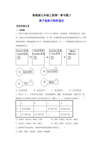 专题2.离子检验与物质鉴定（练习）（原卷版）-九年级上册科学讲练课堂（浙教版）