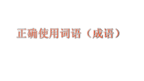 2023届高三语文一轮复习+：正确使用词语（成语）课件25张