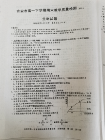 江西省吉安市2020-2021学年高一下学期期末考试生物试题（图片版）